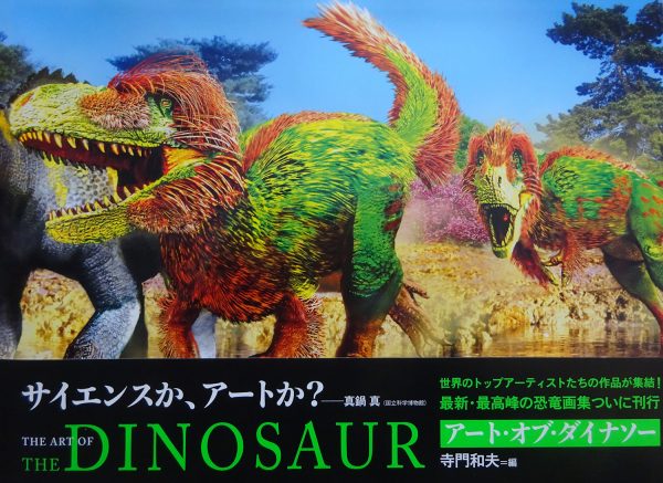 6.-DSC00326